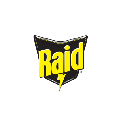 Raid Logo